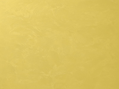 Матовая краска с эффектом шёлка Decorazza Velluto (Веллюто) в цвете VT 10-35